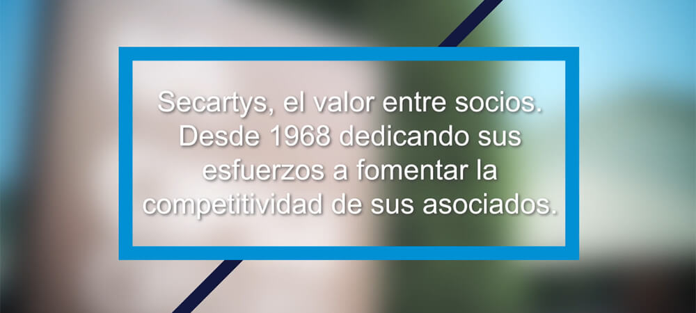 Caso de éxito: La sinergia entre Cipsa Circuits y Ebury España