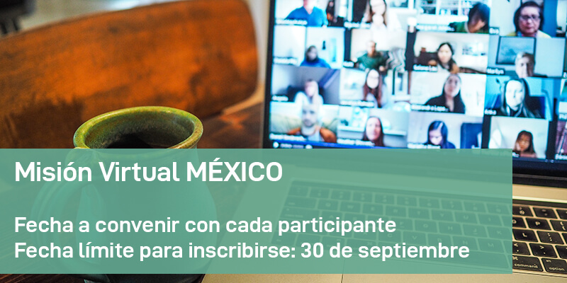 Misión Virtual MÉXICO